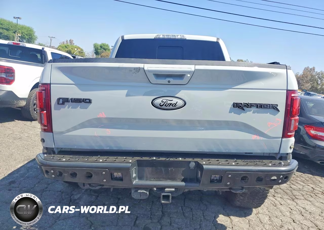 2017 Ford F150 Raptor VIN:1FTFW1RG4HFC92338 - 6