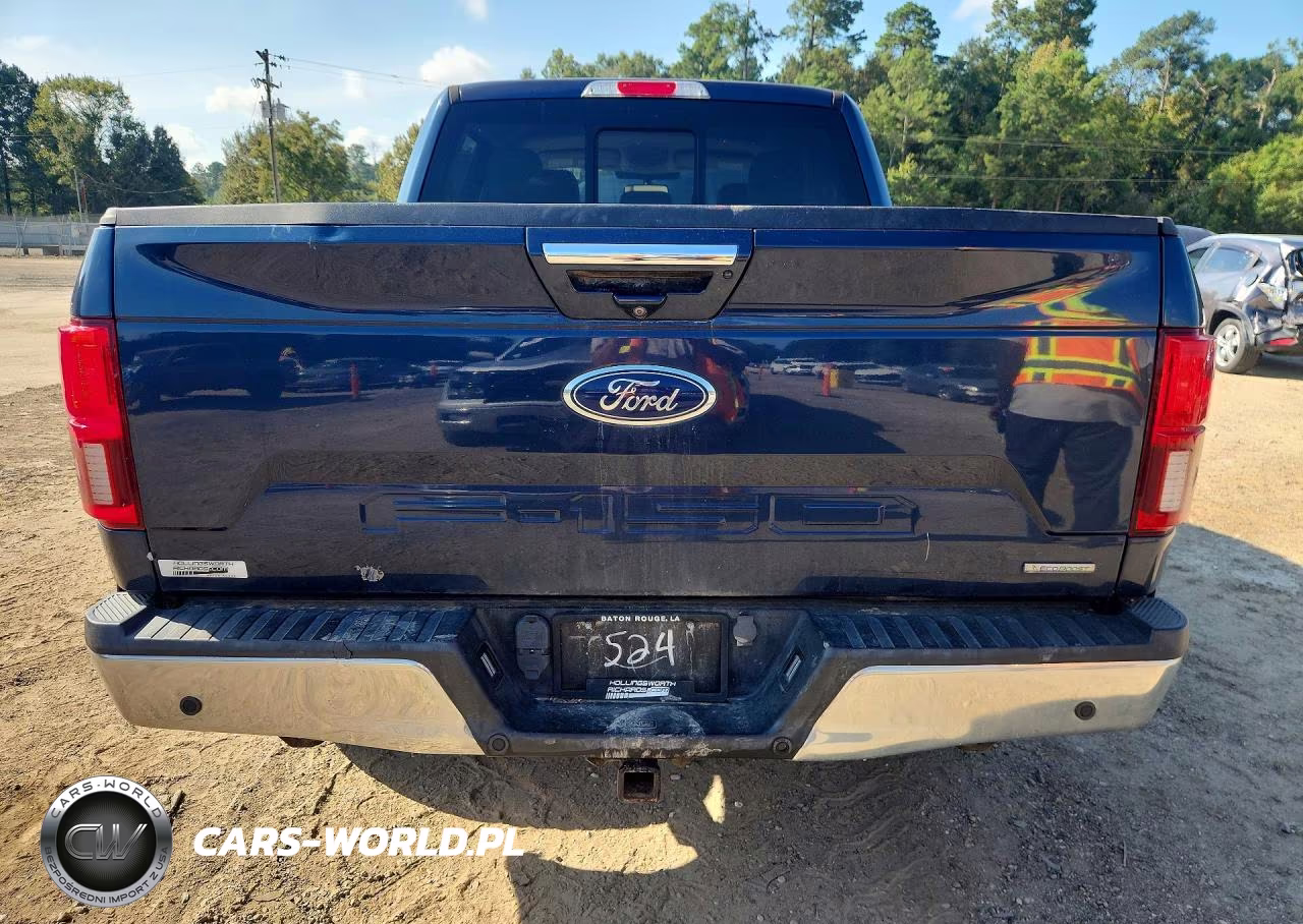 2020 Ford F150 Supercrew VIN:1FTEW1E47LFA74524 - 6