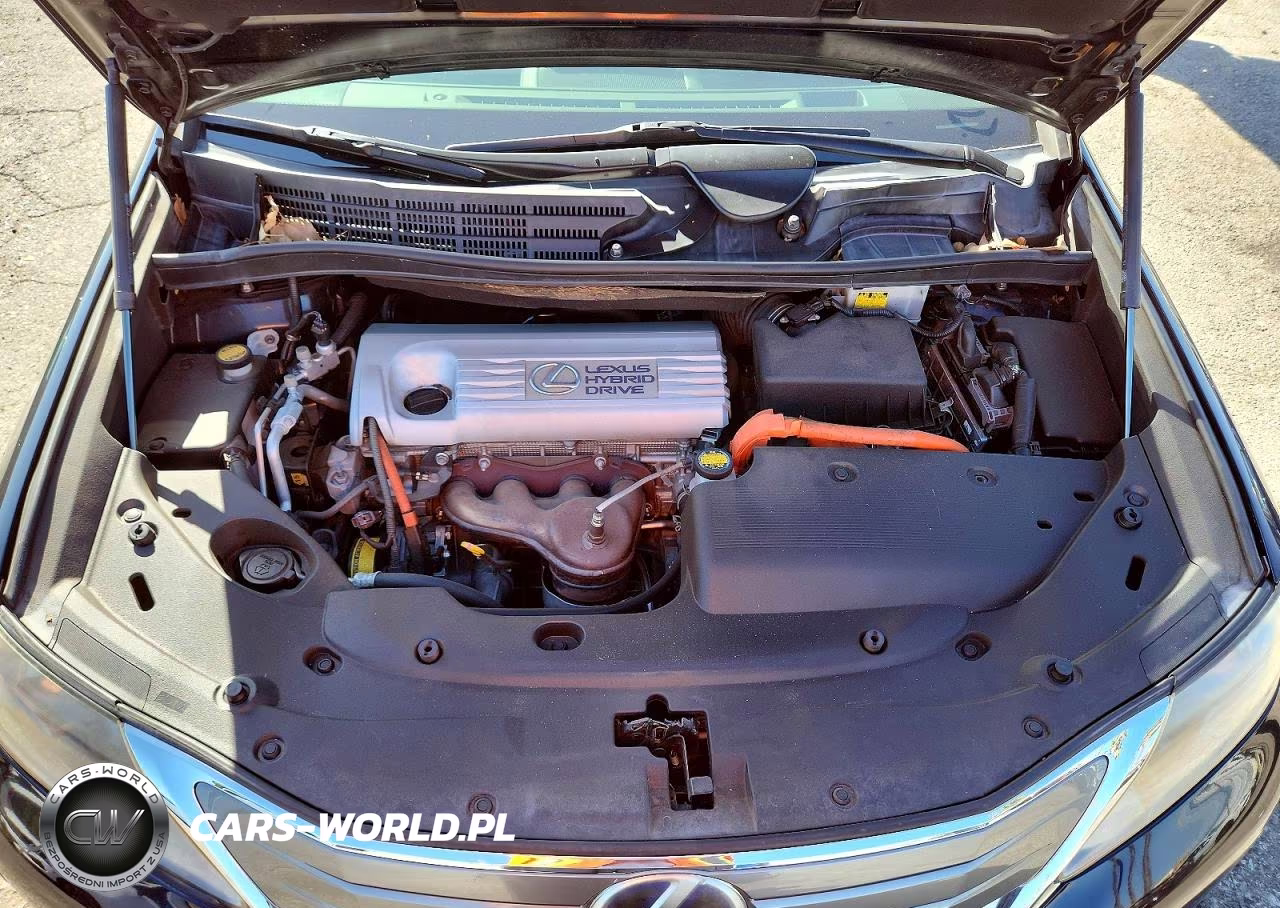 2010 Lexus Hs 250H VIN:JTHBB1BA8A2003196 - 11