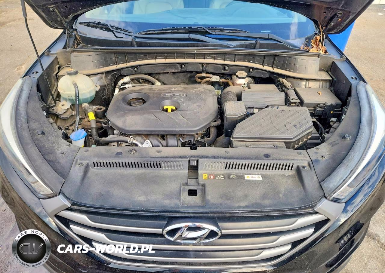2018 Hyundai Tucson Sel Plus VIN:KM8J33A46JU764925 - 12