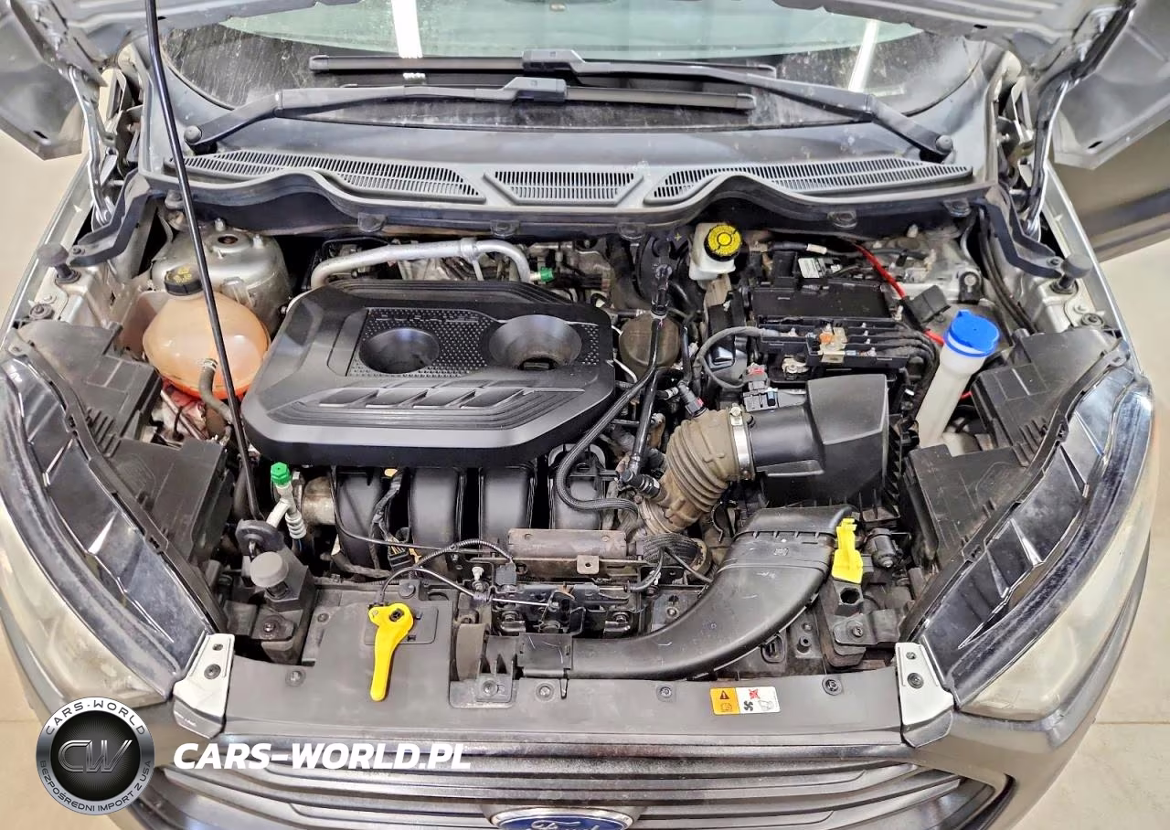 2019 Ford Ecosport Se VIN:MAJ6S3GL3KC274077 - 12