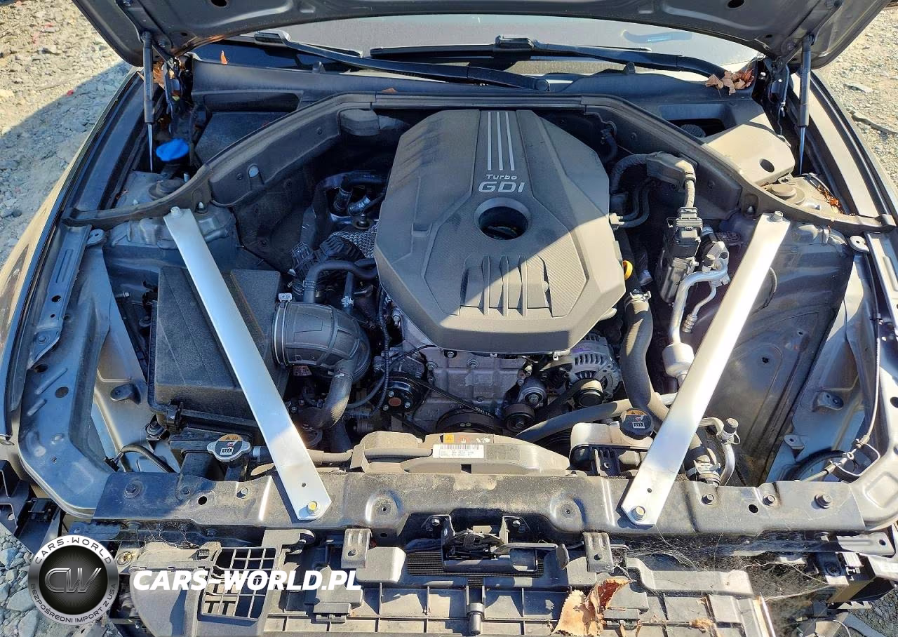 2023 Genesis G70 2.0T VIN:KMTG34TA6PU109178 - 11