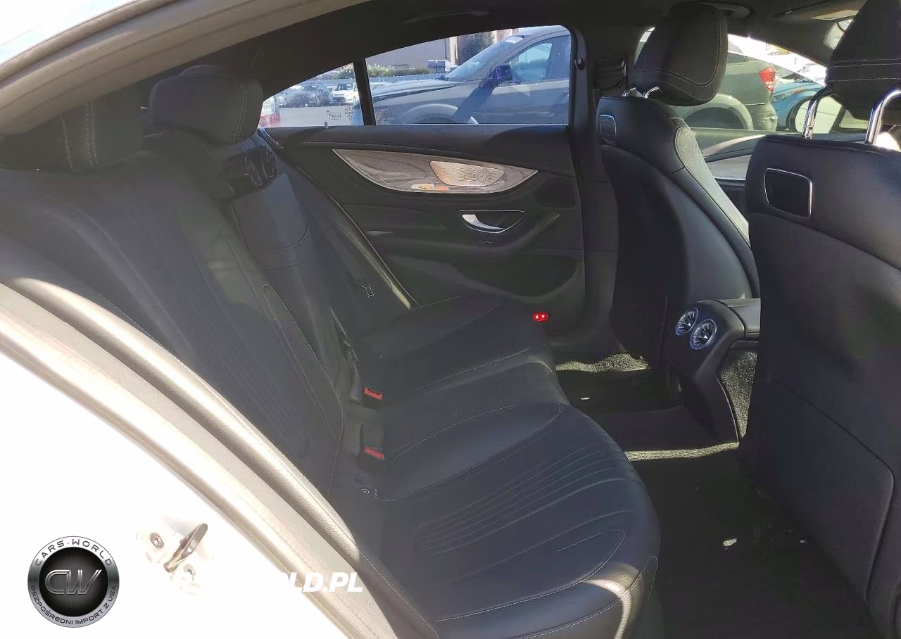 2019 Mercedes-Benz Cls 450 VIN:WDD2J5JB3KA014481 - 10