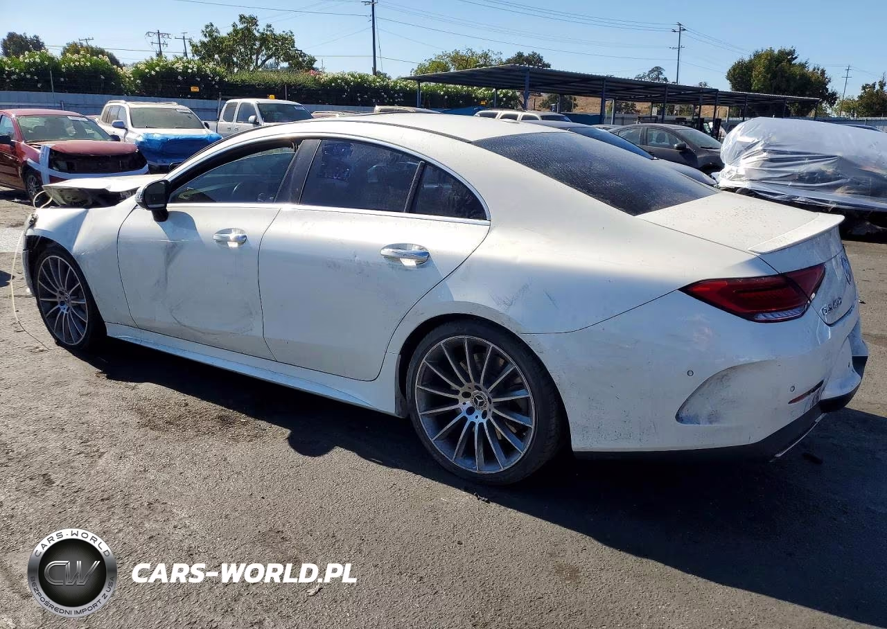 2019 Mercedes-Benz Cls 450 VIN:WDD2J5JB3KA014481 - 2