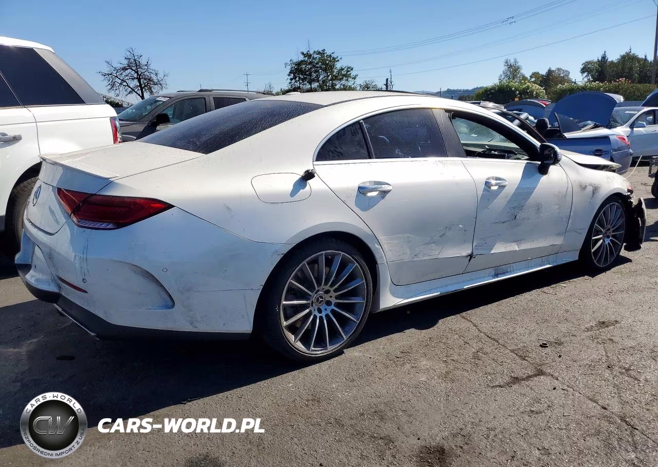 2019 Mercedes-Benz Cls 450 VIN:WDD2J5JB3KA014481 - 3
