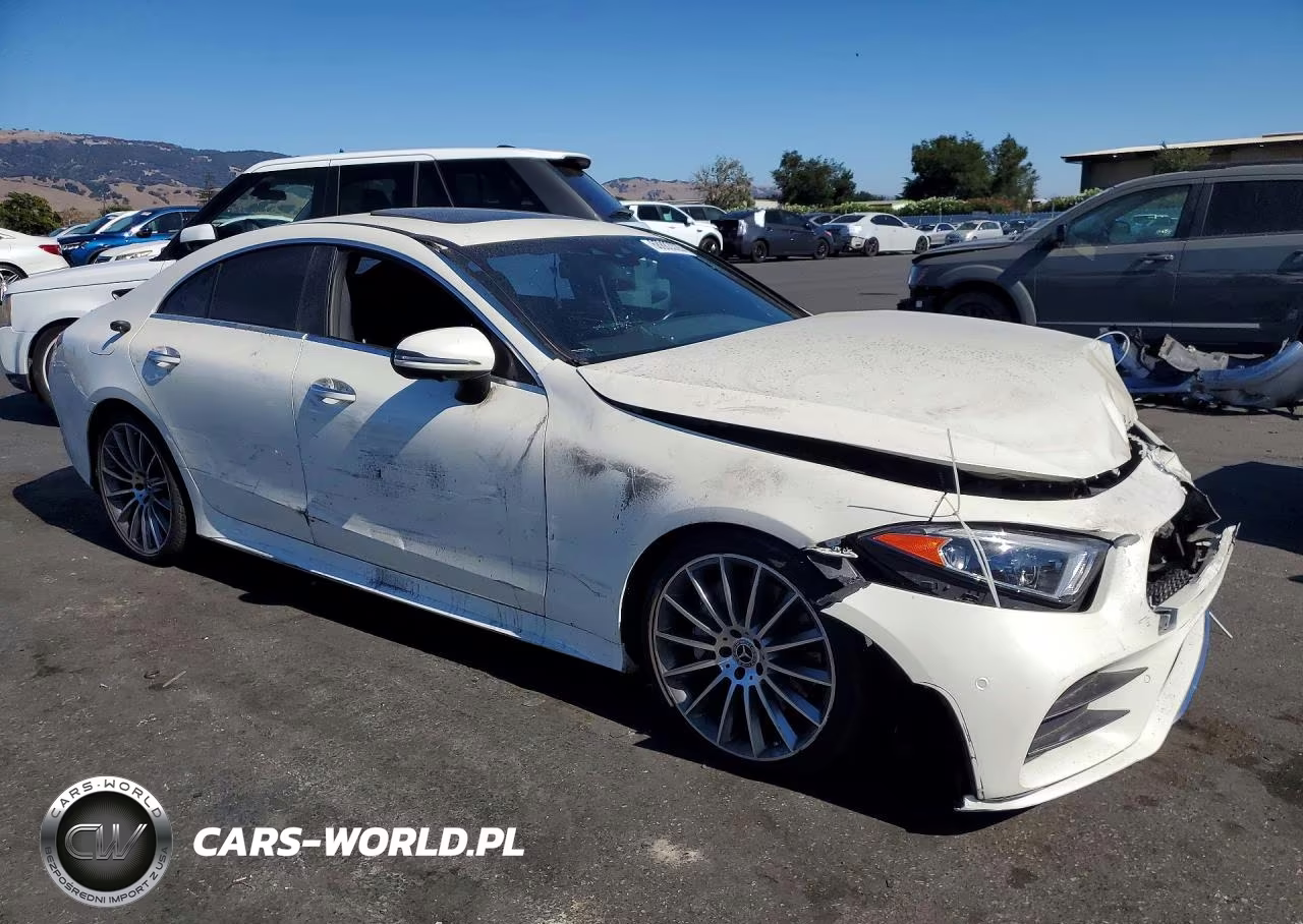 2019 Mercedes-Benz Cls 450 VIN:WDD2J5JB3KA014481 - 4