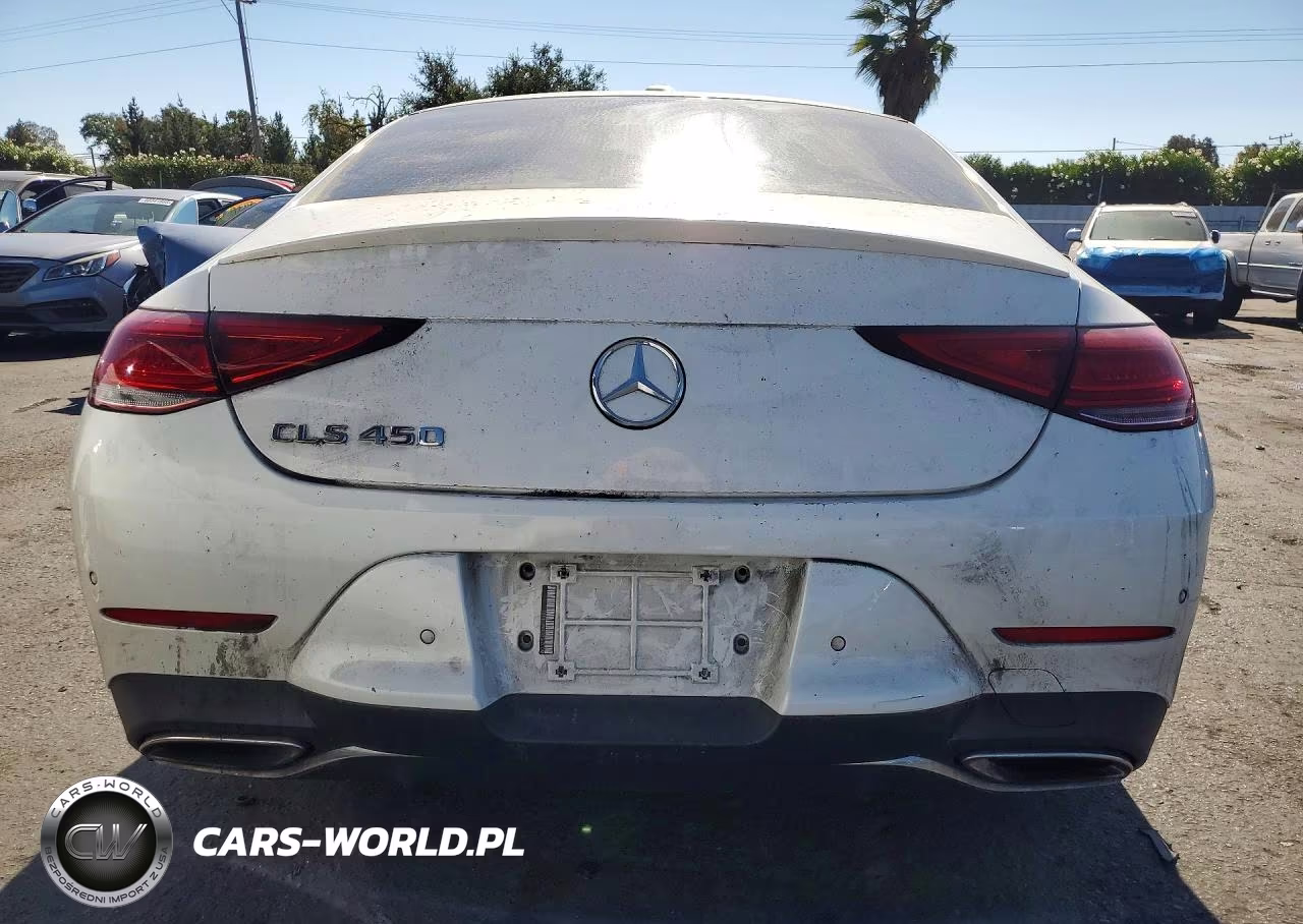 2019 Mercedes-Benz Cls 450 VIN:WDD2J5JB3KA014481 - 6