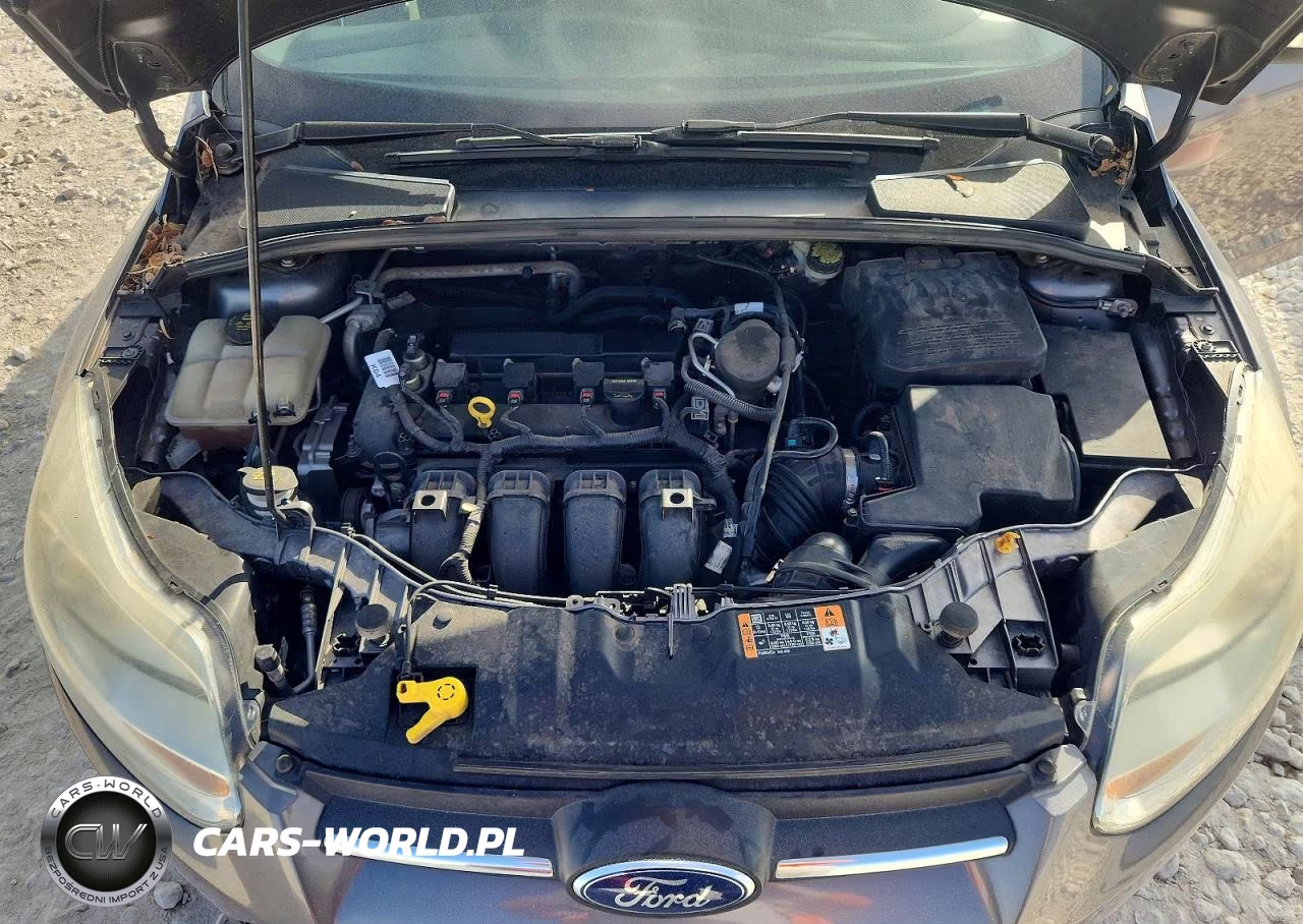 2014 Ford Focus Se VIN:1FADP3F28EL344954 - 11