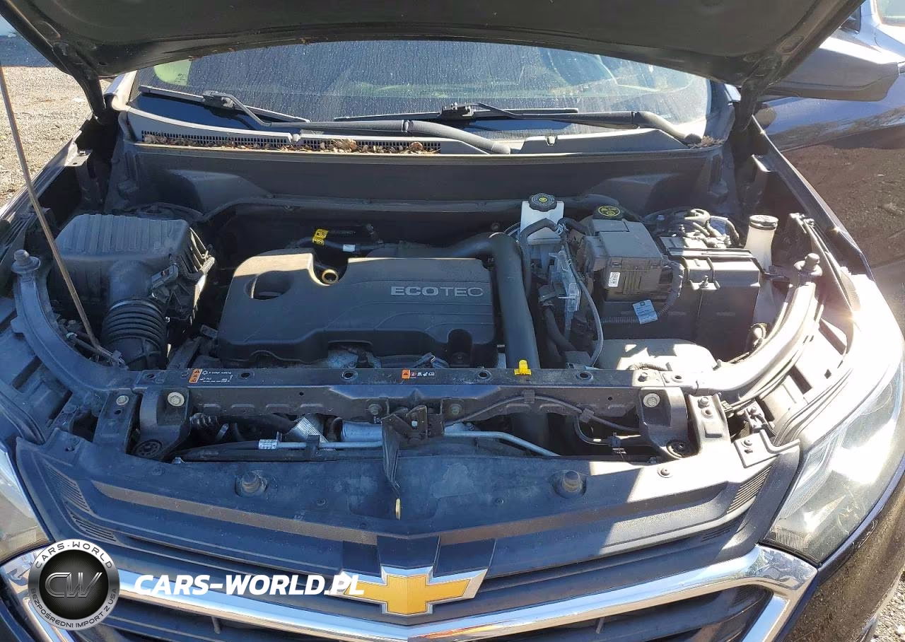 2020 Chevrolet Equinox Ls VIN:3GNAXSEVXLS569037 - 12