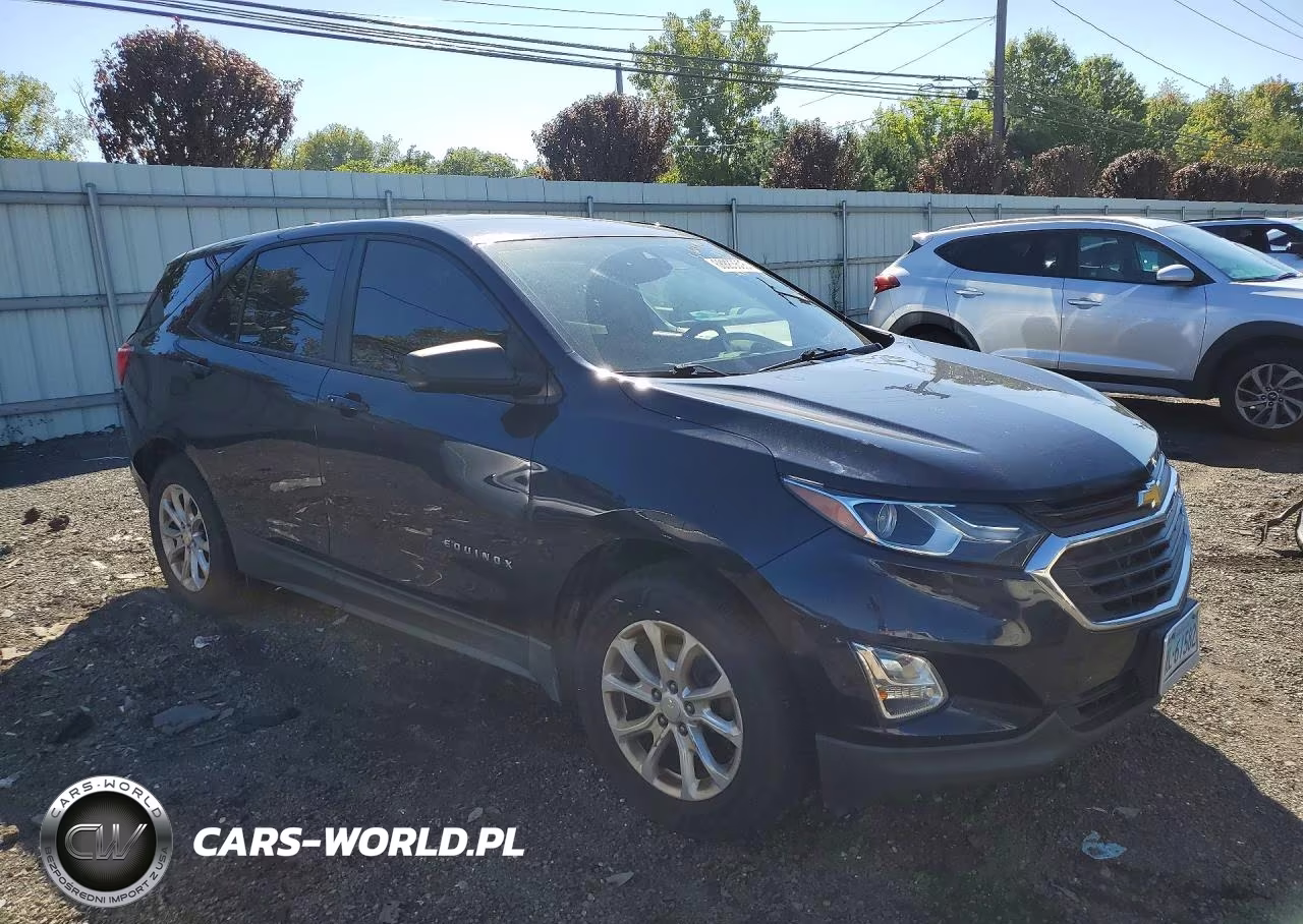 2020 Chevrolet Equinox Ls VIN:3GNAXSEVXLS569037 - 4