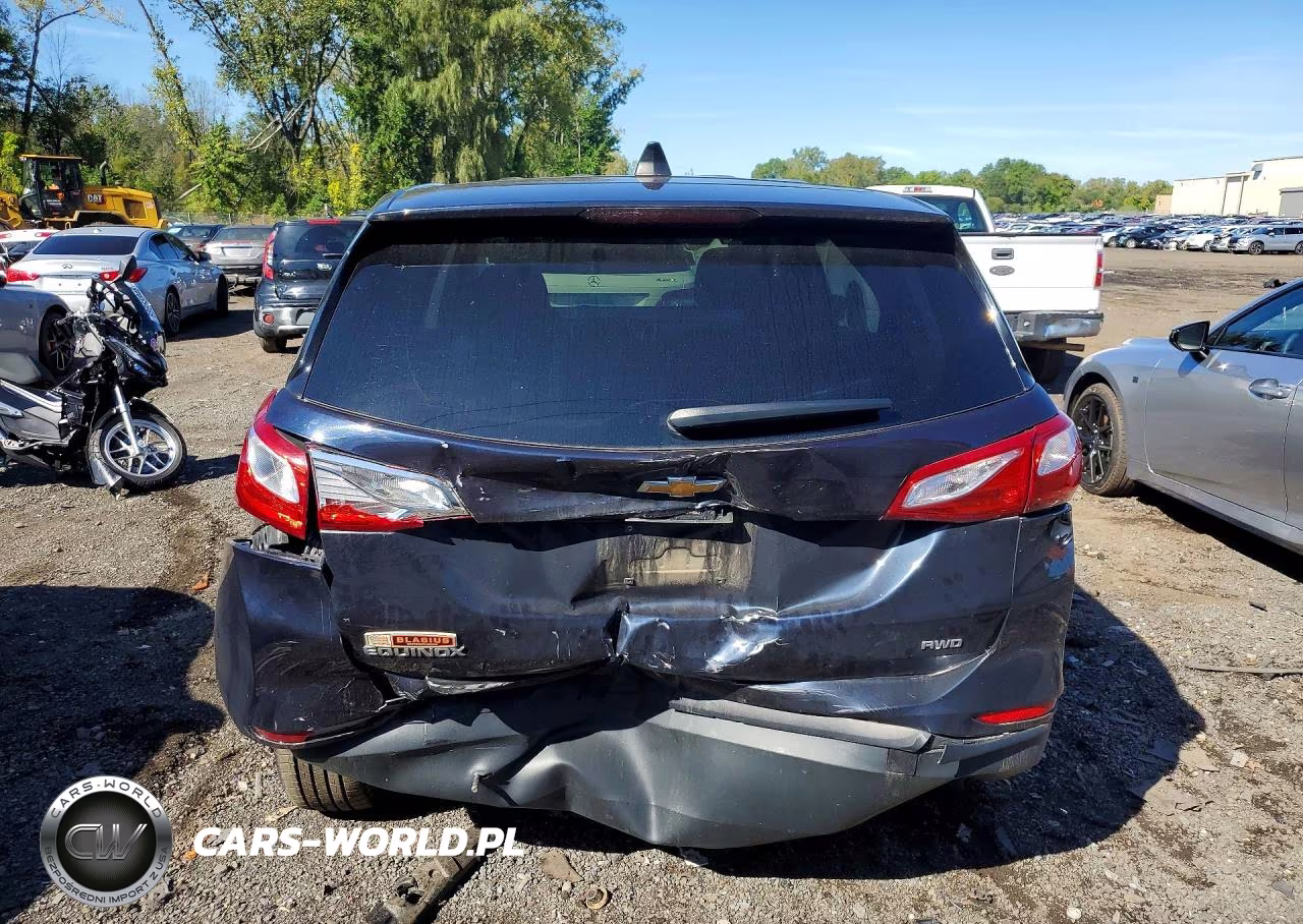 2020 Chevrolet Equinox Ls VIN:3GNAXSEVXLS569037 - 6