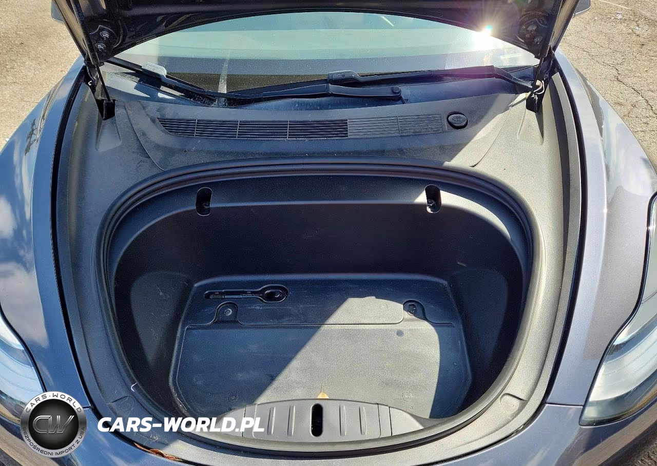 2020 Tesla Model 3 VIN:5YJ3E1EA8LF705107 - 11