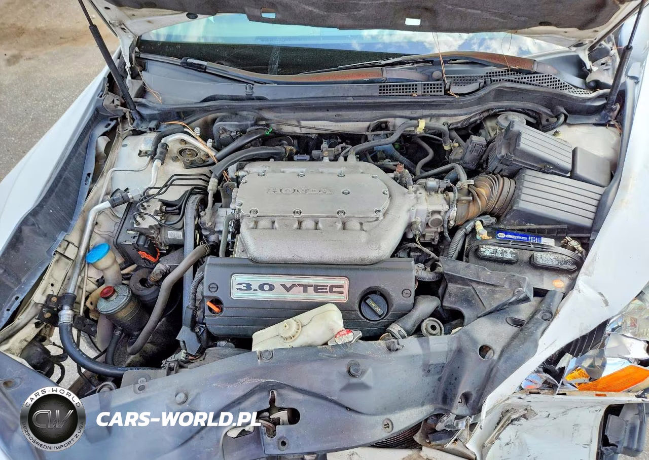 2004 Honda Accord Ex VIN:1HGCM66594A010244 - 11