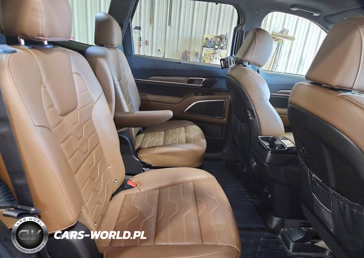 2022 Kia Telluride Sx VIN:5XYP5DHC6NG253847 - 10