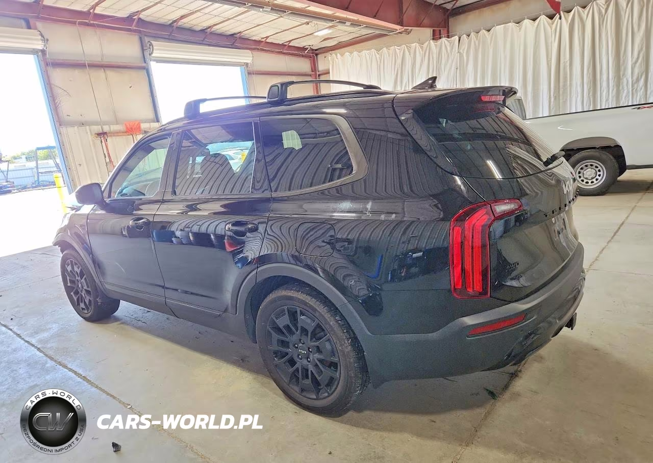2022 Kia Telluride Sx VIN:5XYP5DHC6NG253847 - 2