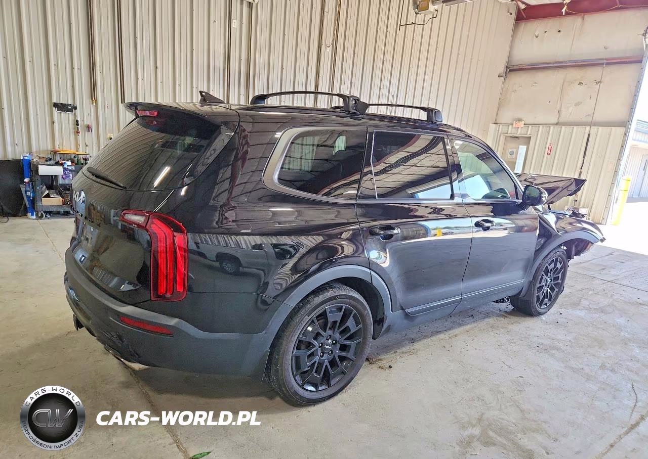 2022 Kia Telluride Sx VIN:5XYP5DHC6NG253847 - 3