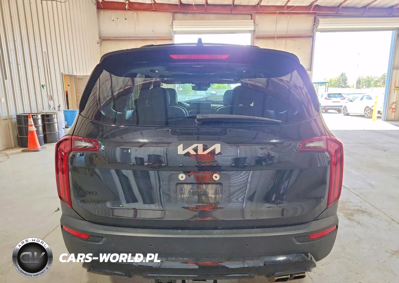 2022 Kia Telluride Sx VIN:5XYP5DHC6NG253847 - 6