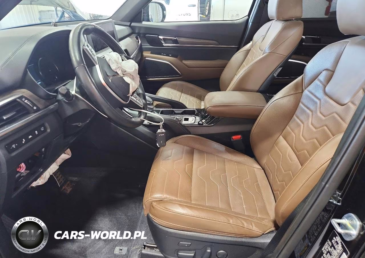 2022 Kia Telluride Sx VIN:5XYP5DHC6NG253847 - 7