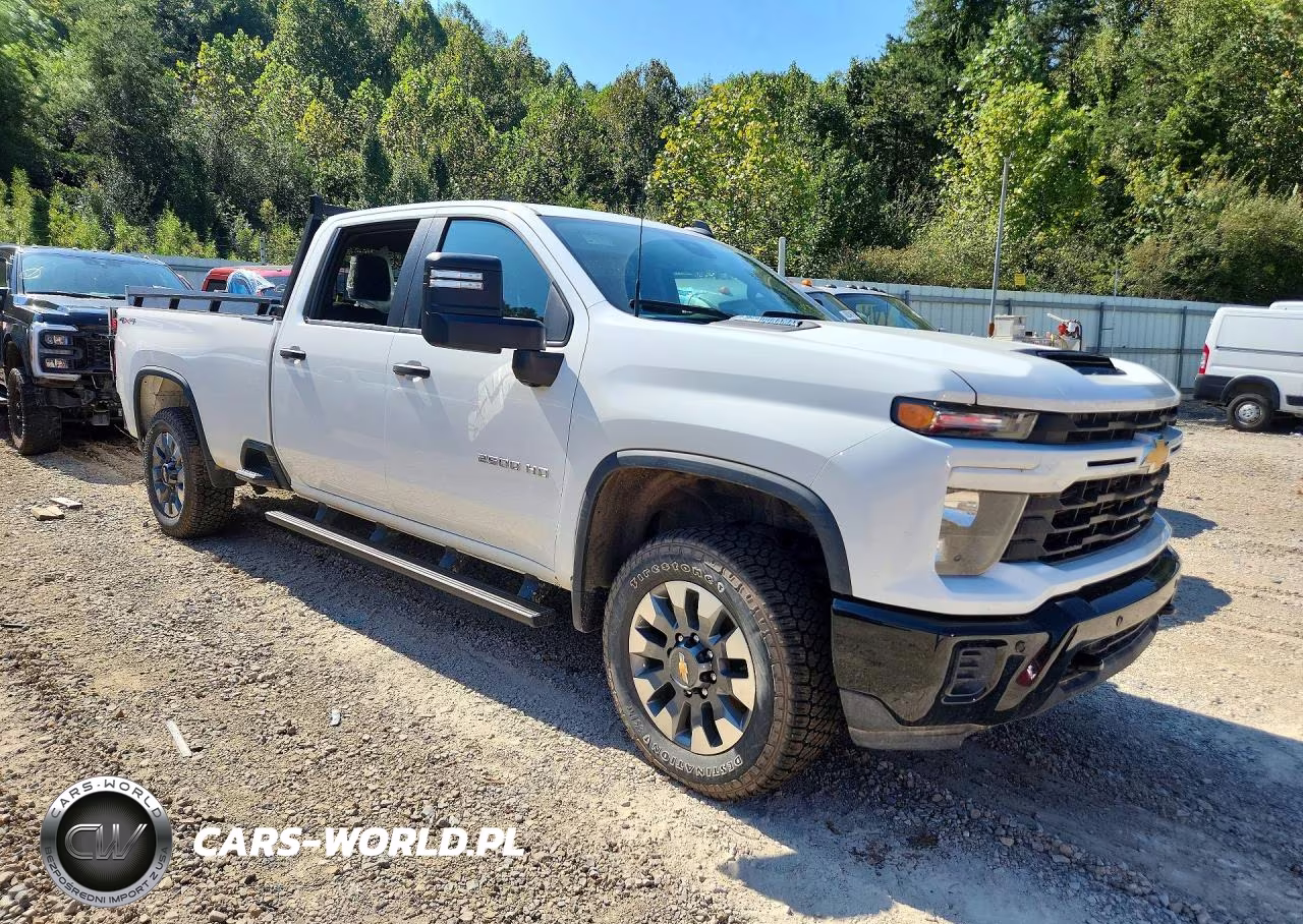 2025 Chevrolet Silverado K2500 Custom VIN:1GC4KMEYXSF224698 - 4