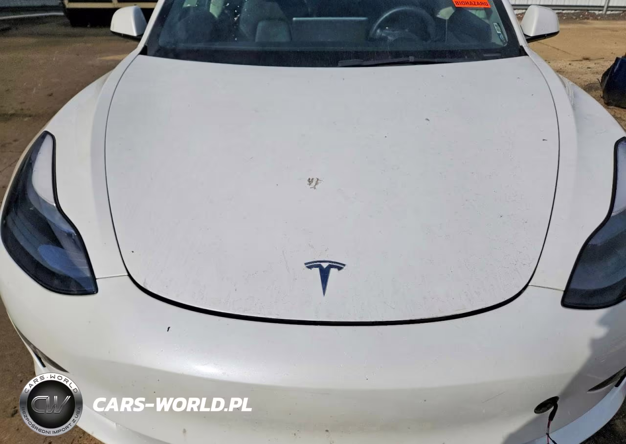 2023 Tesla Model 3 VIN:5YJ3E1EA4PF505623 - 11