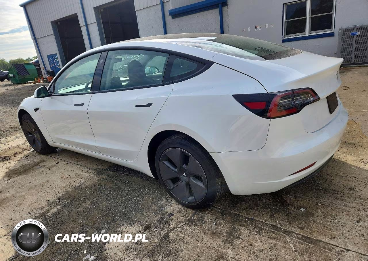 2023 Tesla Model 3 VIN:5YJ3E1EA4PF505623 - 2