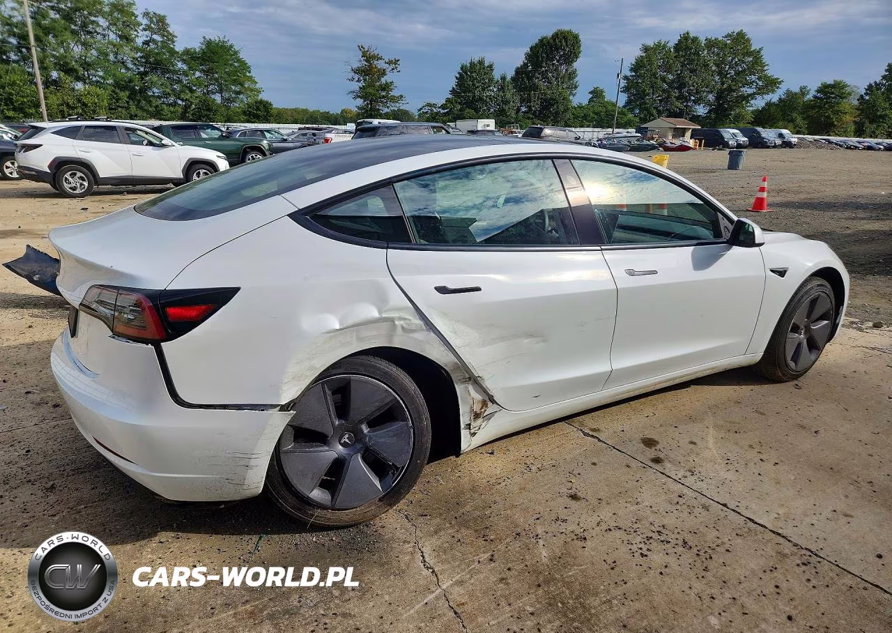 2023 Tesla Model 3 VIN:5YJ3E1EA4PF505623 - 3