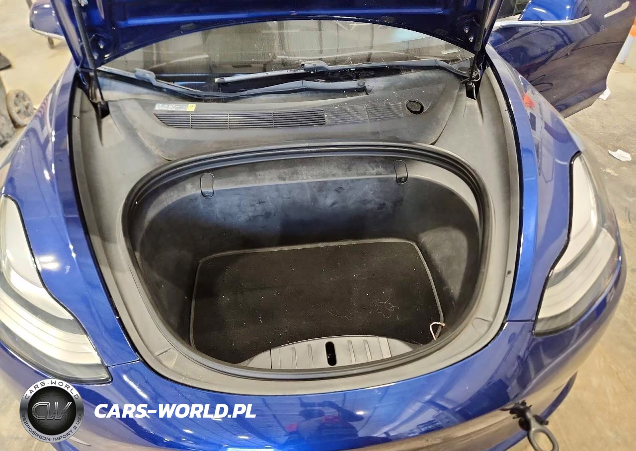 2018 Tesla Model 3 VIN:5YJ3E1EA9JF076289 - 11
