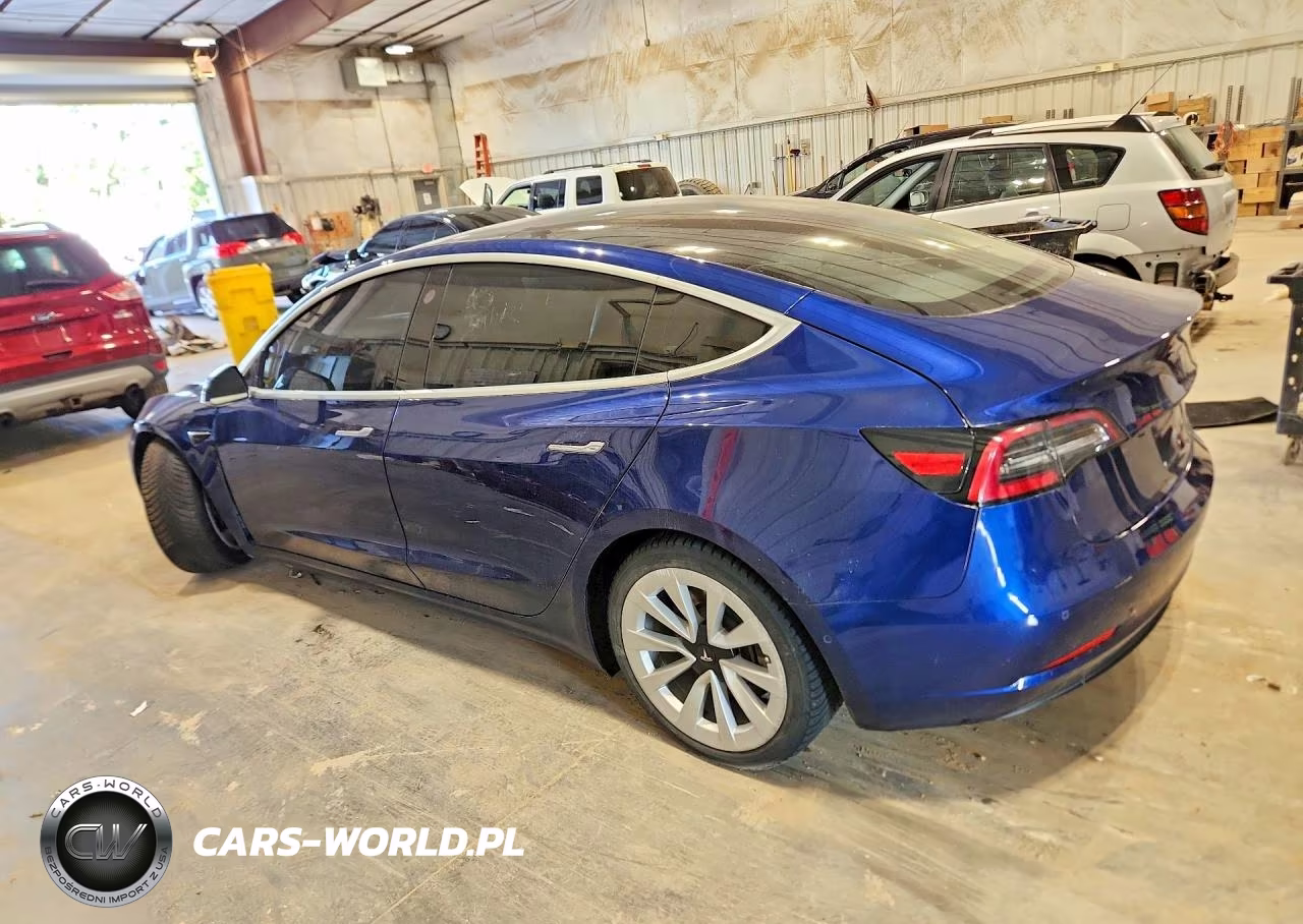 2018 Tesla Model 3 VIN:5YJ3E1EA9JF076289 - 2