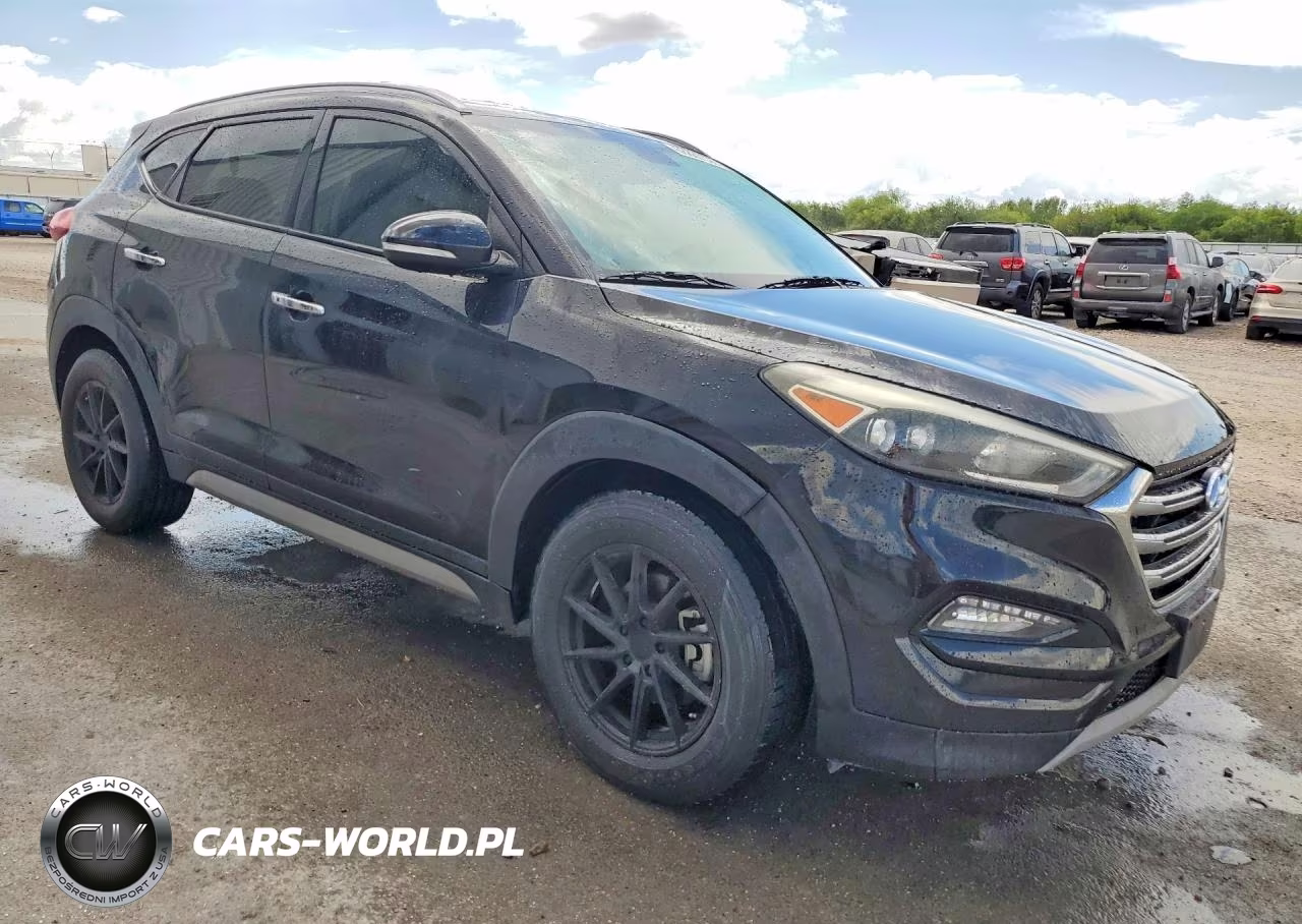 2017 Hyundai Tucson Limited VIN:KM8J33A20HU302126 - 4