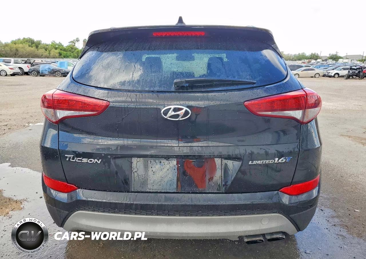 2017 Hyundai Tucson Limited VIN:KM8J33A20HU302126 - 6