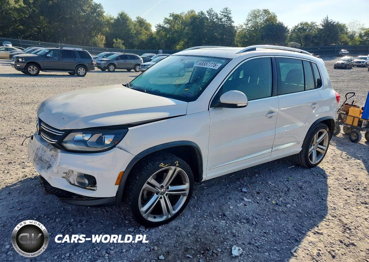 2014 Volkswagen Tiguan S VIN:WVGAV3AX1EW013505 - 1