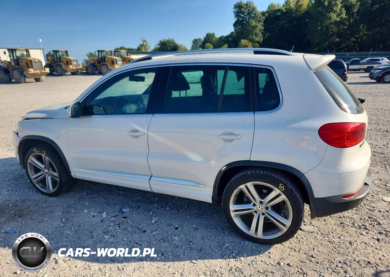 2014 Volkswagen Tiguan S VIN:WVGAV3AX1EW013505 - 2