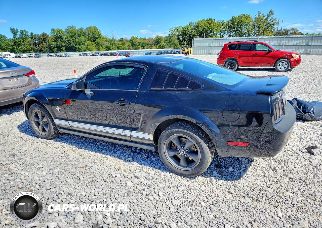 2008 Ford Mustang VIN:1ZVHT80NX85191538 - 2