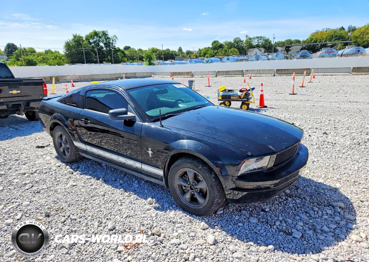 2008 Ford Mustang VIN:1ZVHT80NX85191538 - 4