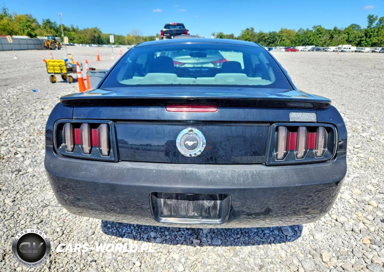 2008 Ford Mustang VIN:1ZVHT80NX85191538 - 6