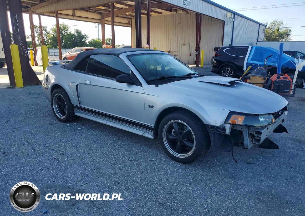 2002 Ford Mustang Gt VIN:1FAFP45X52F191424 - 4