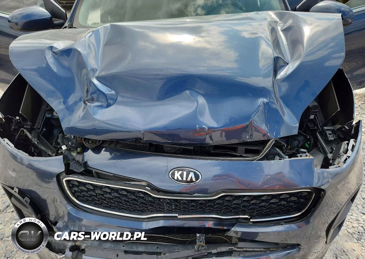 2017 Kia Sportage Lx VIN:KNDPM3AC0H7206824 - 12