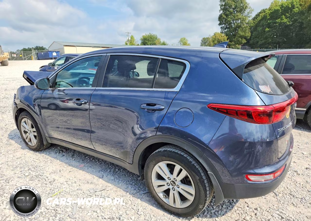 2017 Kia Sportage Lx VIN:KNDPM3AC0H7206824 - 2