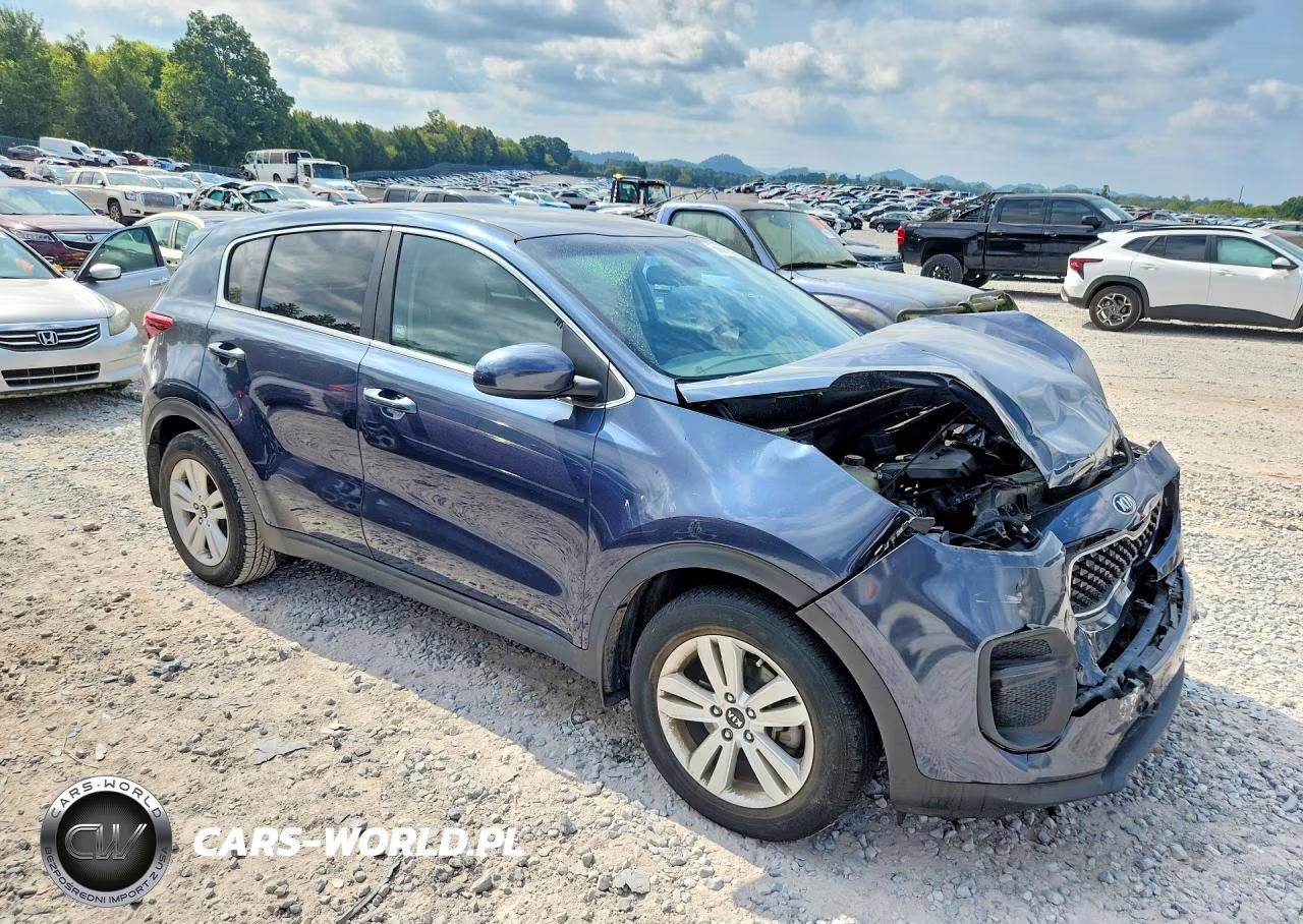 2017 Kia Sportage Lx VIN:KNDPM3AC0H7206824 - 4