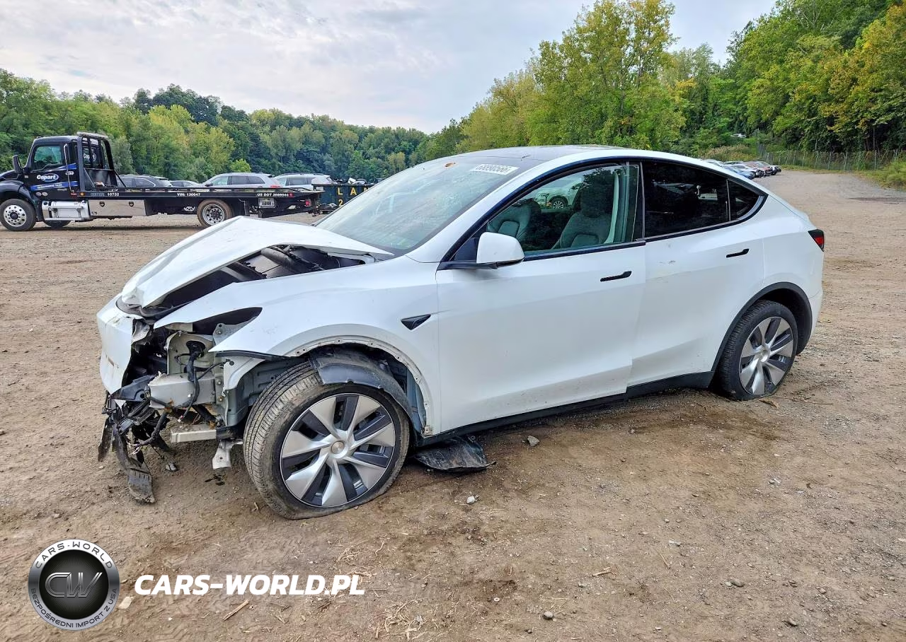 2024 Tesla Model Y VIN:7SAYGDEE1RA259976 - 1