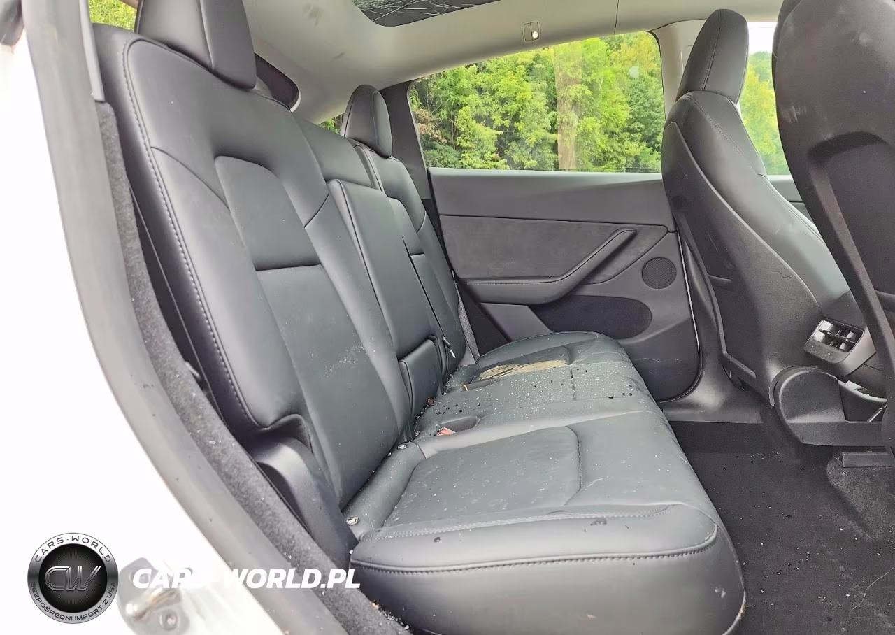 2024 Tesla Model Y VIN:7SAYGDEE1RA259976 - 10