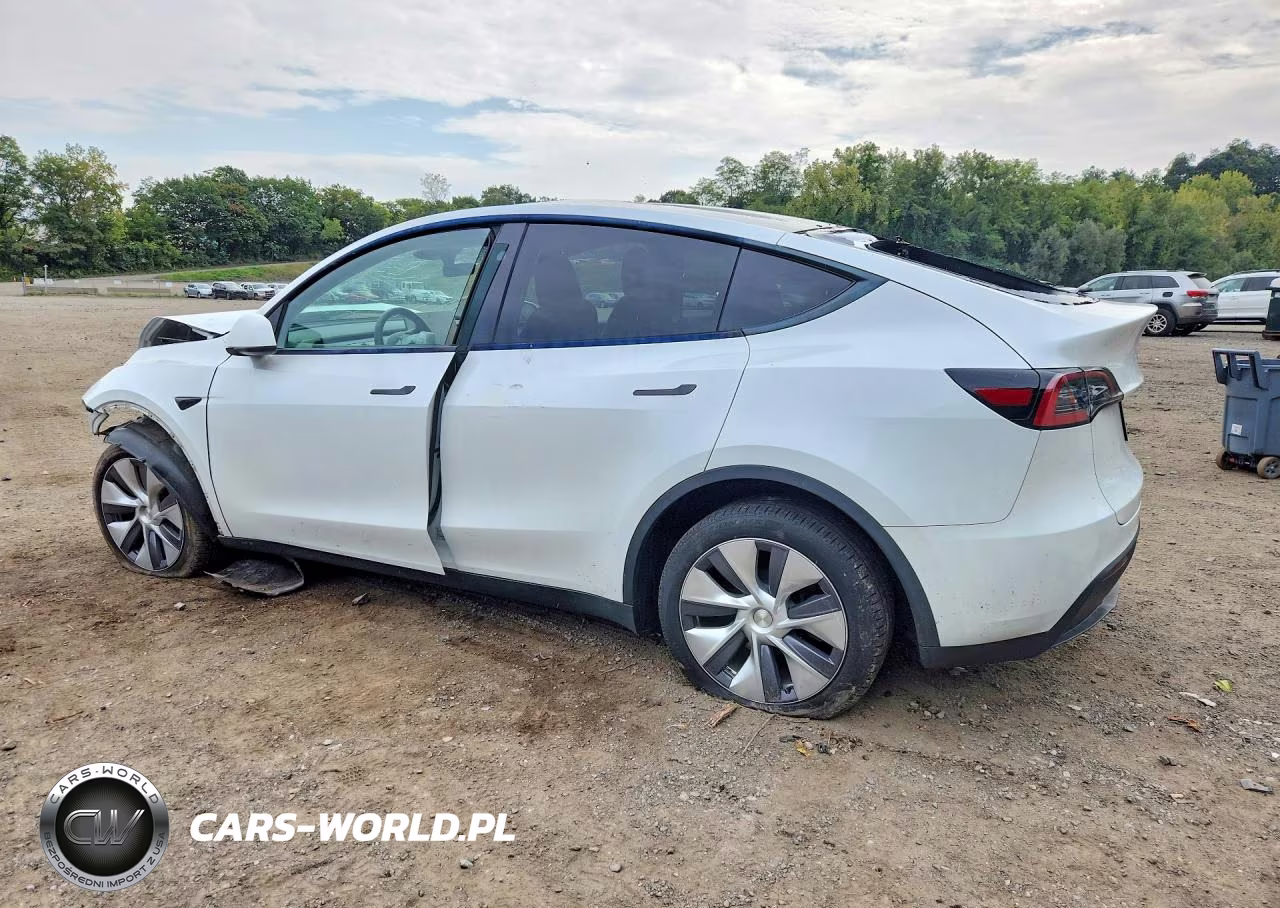 2024 Tesla Model Y VIN:7SAYGDEE1RA259976 - 2