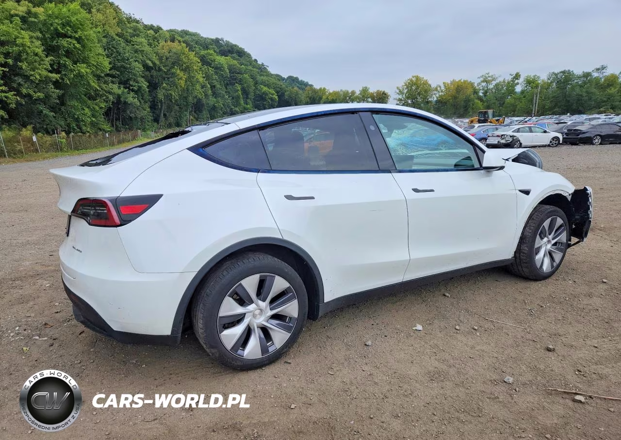 2024 Tesla Model Y VIN:7SAYGDEE1RA259976 - 3