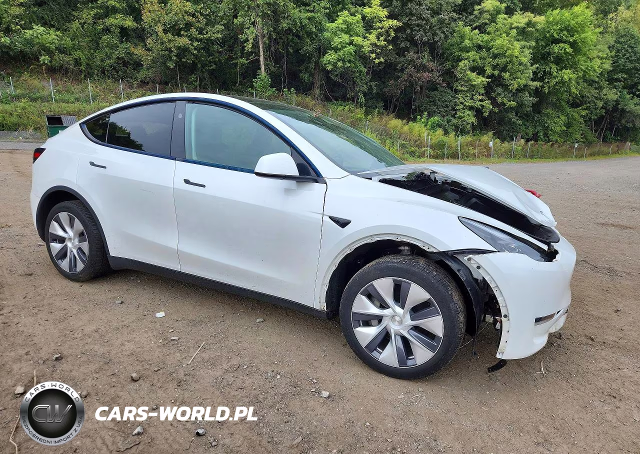 2024 Tesla Model Y VIN:7SAYGDEE1RA259976 - 4