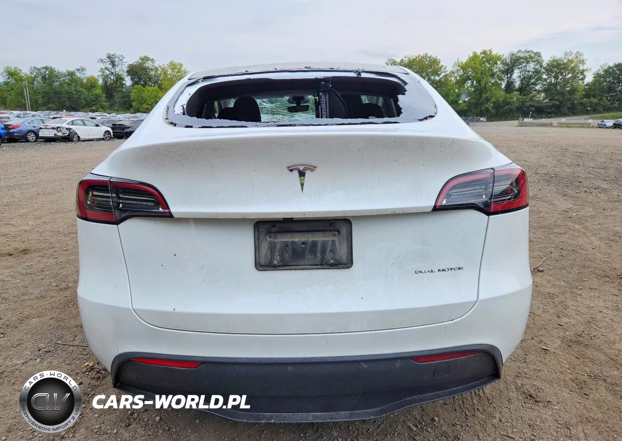 2024 Tesla Model Y VIN:7SAYGDEE1RA259976 - 6
