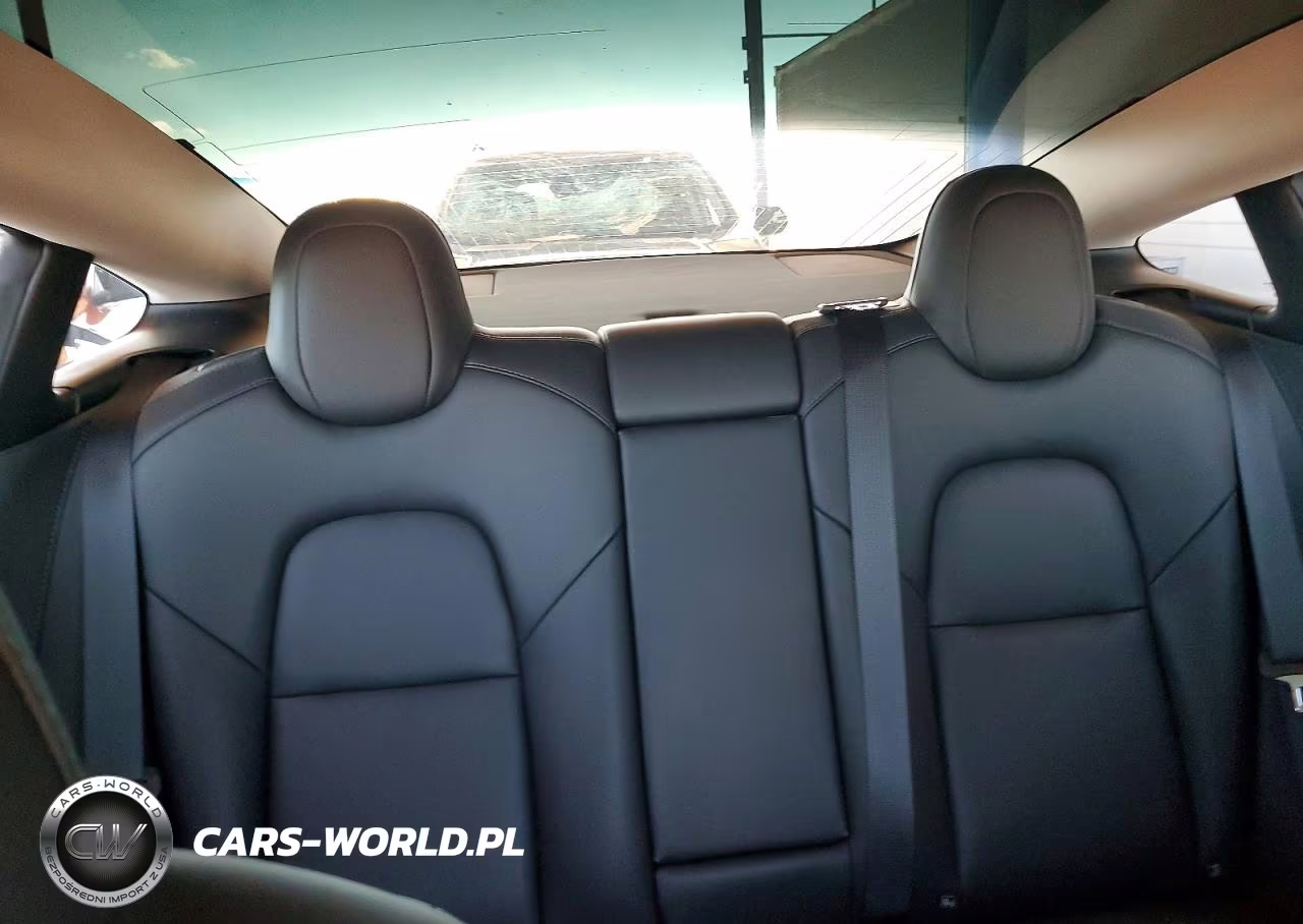 2020 Tesla Model 3 VIN:5YJ3E1EC2LF736189 - 10