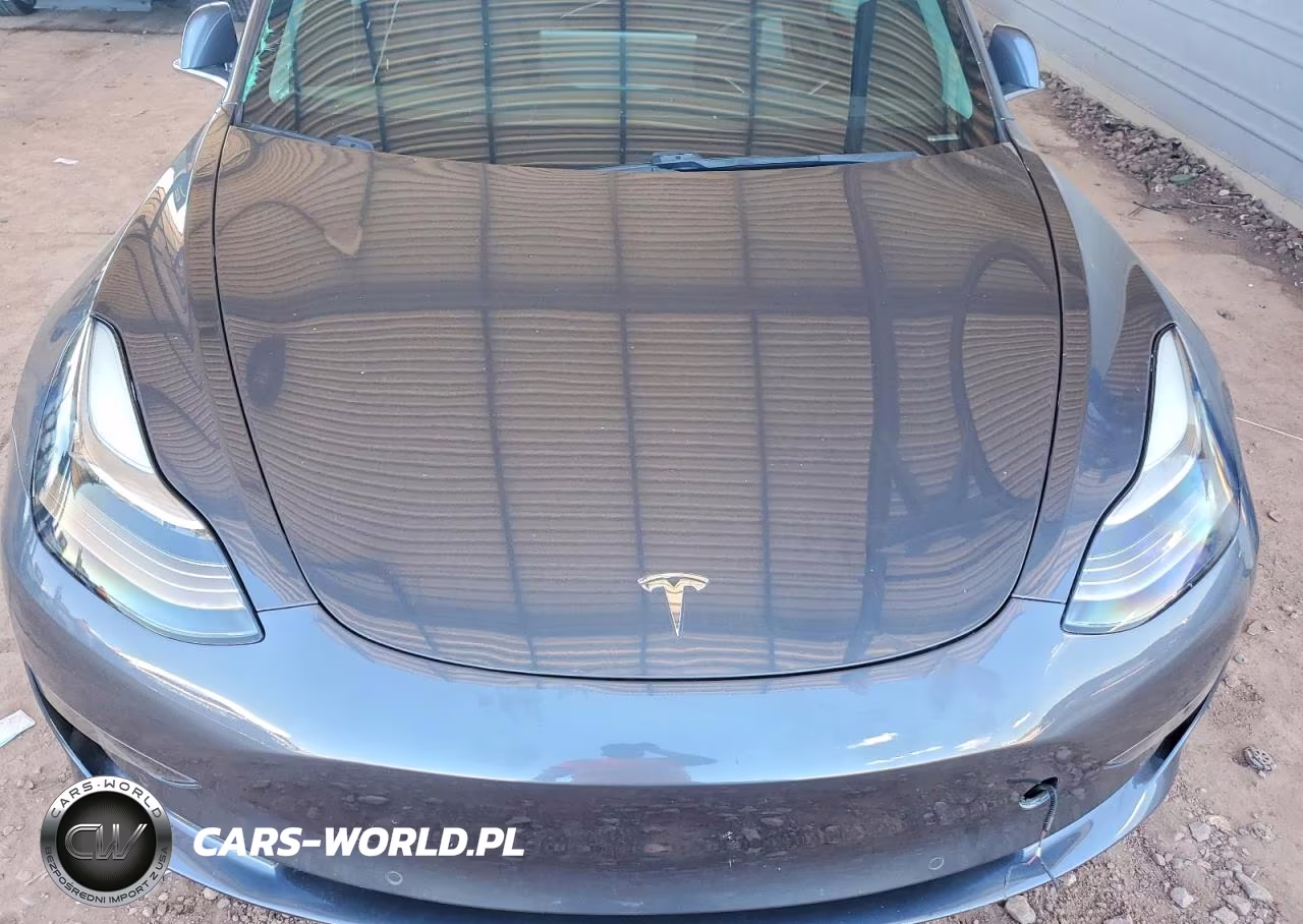 2020 Tesla Model 3 VIN:5YJ3E1EC2LF736189 - 11