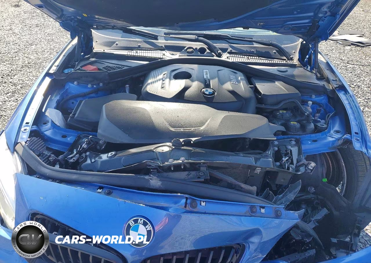 2017 BMW 230Xi VIN:WBA2H9C51HV642056 - 11