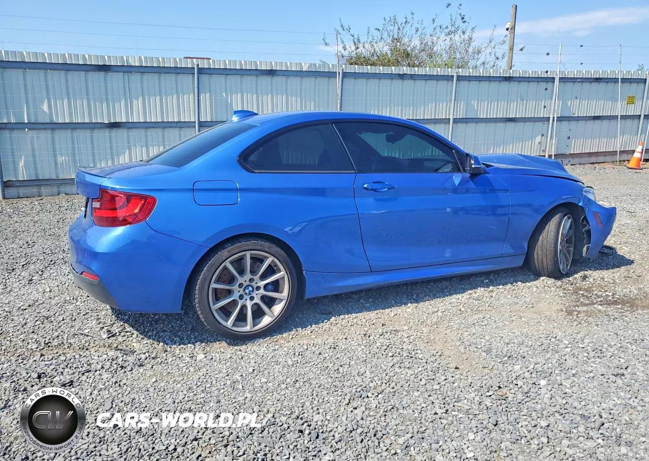 2017 BMW 230Xi VIN:WBA2H9C51HV642056 - 3