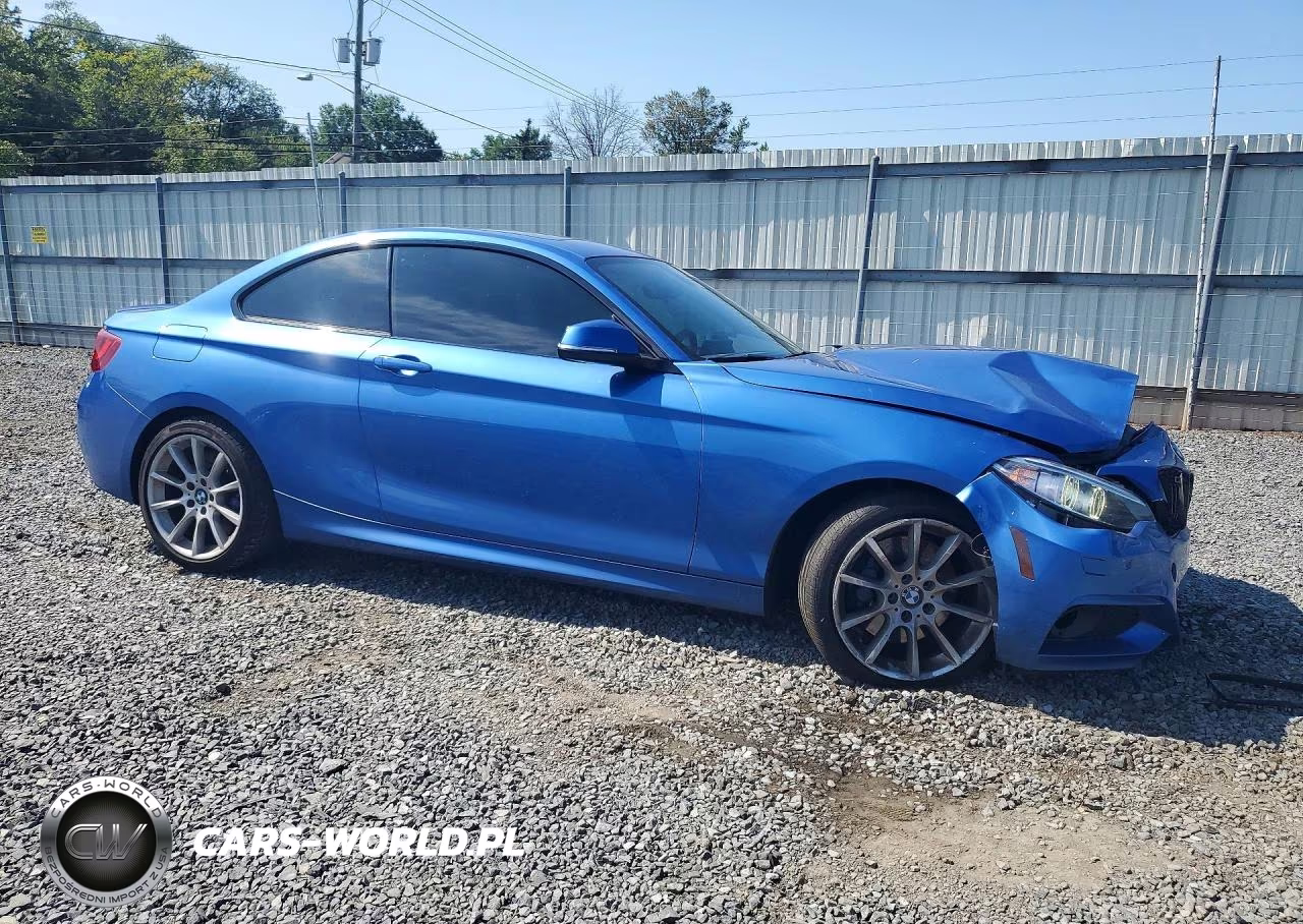2017 BMW 230Xi VIN:WBA2H9C51HV642056 - 4